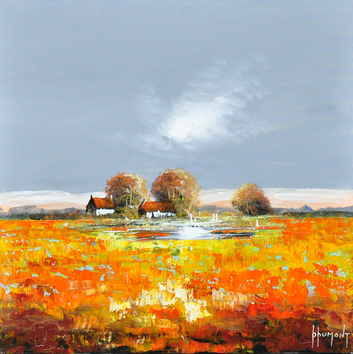 Daniel Dumont + Platteland na het onweer 